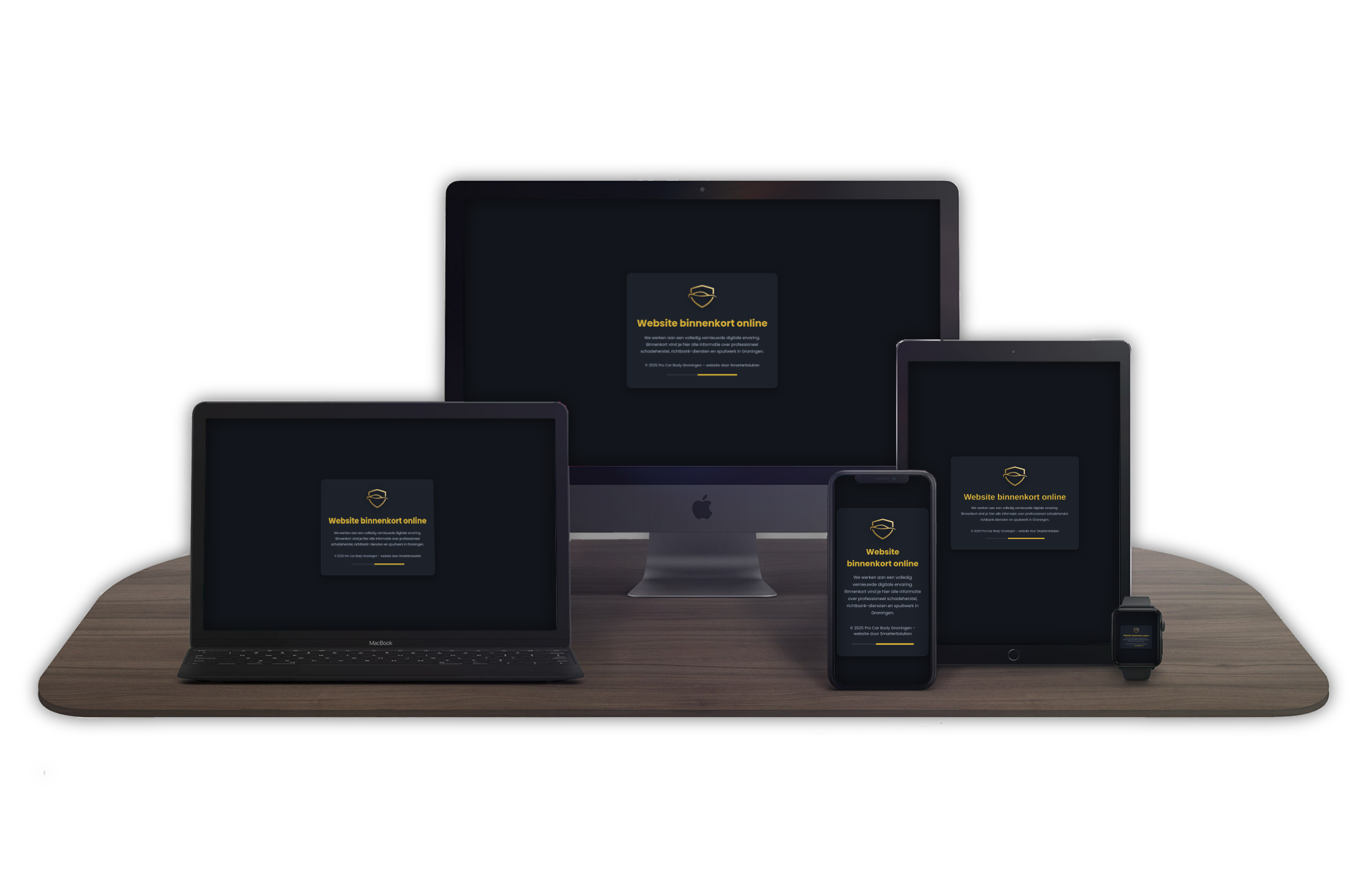 Professionele webidentiteit voor autoschadehersteller ProCarBody in Groningen